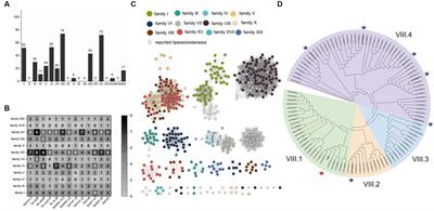 Genome-wide analysis of lipolytic enzymes and characterization of a high-tolerant carboxylesterase from Sorangium cellulosum